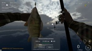 Fishing Planet. Мичиган. Уникальный Жёлтый Окунь