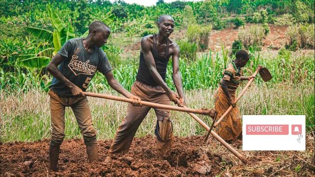 Усилия на дороге веры Проповедь №3 о Александра Жерносека в Францисканском костеле Гродно смотреть онлайн