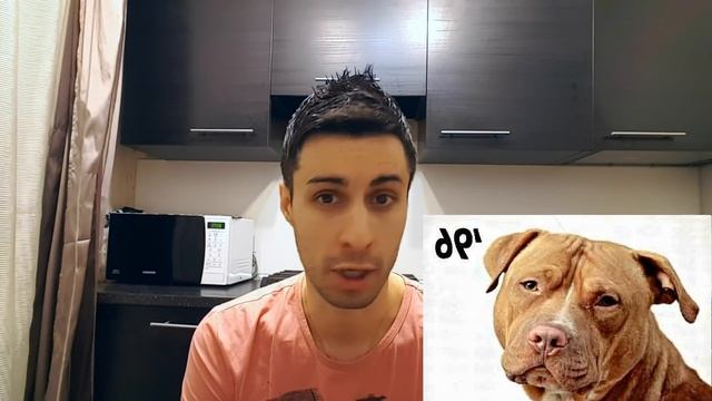 ОТЛИЧИЕ ШОУ ПИТОВ ОТ РАБОЧИХ!!! смотреть онлайн