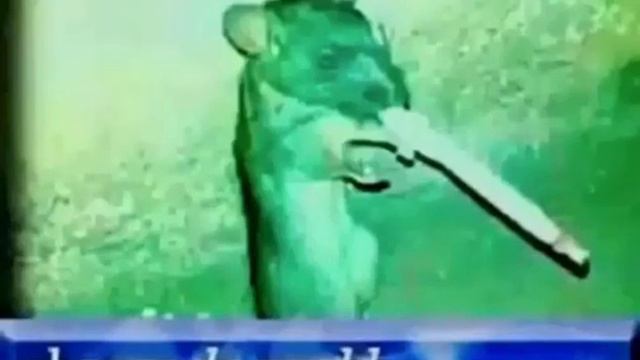 changetheworld.mp4