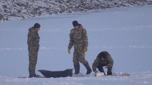 Под Волгоградом задержали браконьеров с ледобуром и сетями