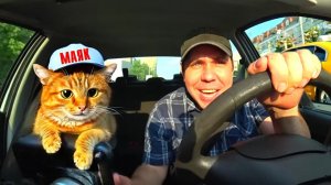 НИ РЫБА НИ МЯСО СЛОМАЛАСЬ МАШИНА ВЕЗУ КУРЬЕРА НА ЗАКАЗ БОГАТЫЕ ПАССАЖИРЫ ЭКОНОМА ТАКСИ