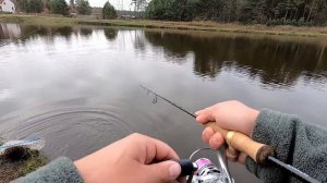 Ловля форели на платнике. Рыбхоз Щарка. Розыгрыш спиннинга