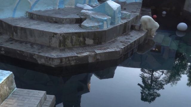 Кай укладывается спать на айсберге Часть 1 02 07 2021 смотреть онлайн