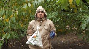 Чем опрыскивать сад осенью?