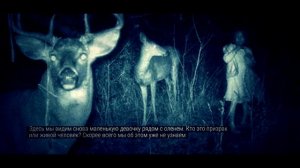 аокигахара легенды