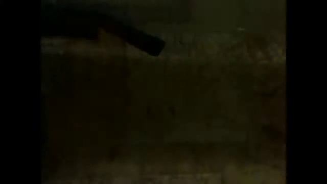 Кормление рыбок вечером 9:00 :) смотреть онлайн