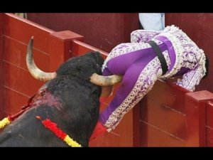 Я РЖАЛ ДО СЛЕЗ __ приколы с животными __ новые приколы 2020 _ приколы 2020.mp4