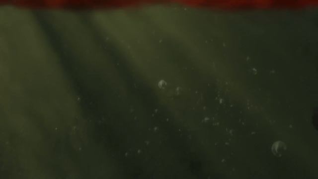 Metro Exodus - ПРОХОЖДЕНИЕ 🔥 СЕКТАНТЫ #2 смотреть онлайн