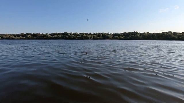 ОКА ПОСЛЕ ЖАРЫ:  ДЕНЬ ВТОРОЙ: БЕШЕННЫЙ КЛЕВ РЫБЫ.#ока #рыбалканаоке #рыбалка2021