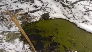 Установка капкана Кп250(подробно) часть 1