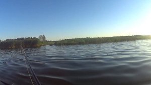 Троллинг на мелководье... опять озеро Чебачье Тюменская область