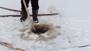 Таежная подледка промысловиков / Рыбалка