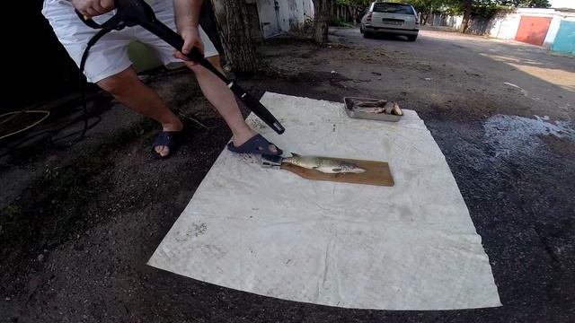 Быстрая чистка рыбы "Керхером".