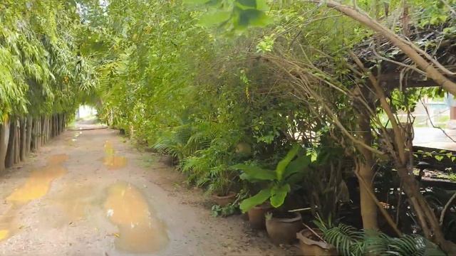 Отель в Таиланде на берегу за 400 бат и как его забронировать через Букинг из России смотреть онлайн