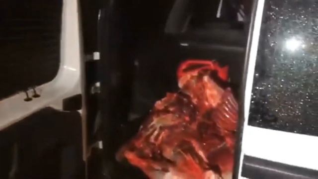 Уголовная ответственность за незаконную охоту