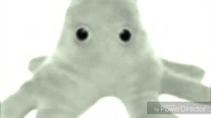 scp 999 ” катающий монстр”