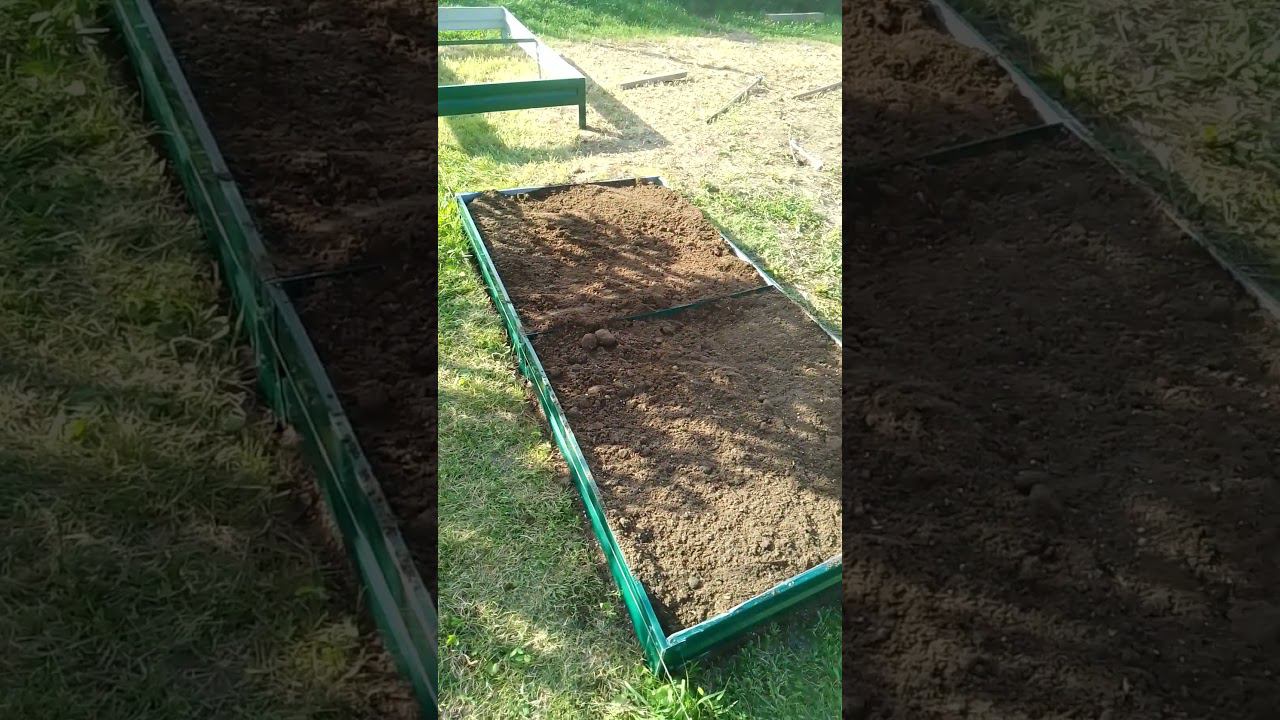 грядку заполнили #деревенскаяжизнь #огород #природноеземледелие #дача #грядки