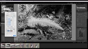 WALKTHROUGH - How I edit my black and white negatives with Lightroom Classic (Part 5)
