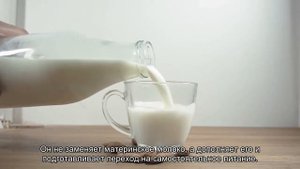 Как и когда переводить щенка на взрослый корм?