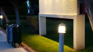 вечерний отель Fame Residence Lara & SPA. Турция. Анталия. Лара.2021.море