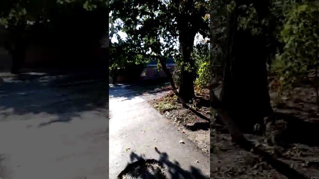 К св.Павлу, ул.К.Либкнехта смотреть онлайн