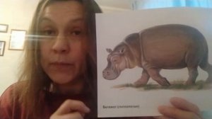 Животные жарких стран. Часть 1