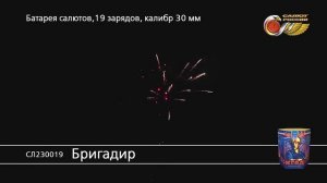 СЛ230019 Бригадир