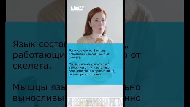 Интересные факты о языке