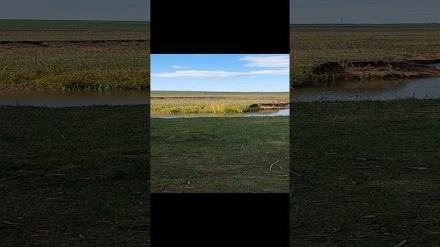 20230928_141620.mp4