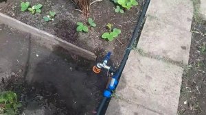 Полив на даче , быстро и надёжно