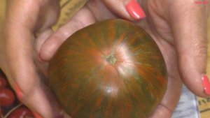 Честный отзыв о томатах полосатиках  Что посажу в 2022