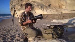 NIKON Z 400mm f/4.5 - Photographing birds in flight with 1.4x teleconverter