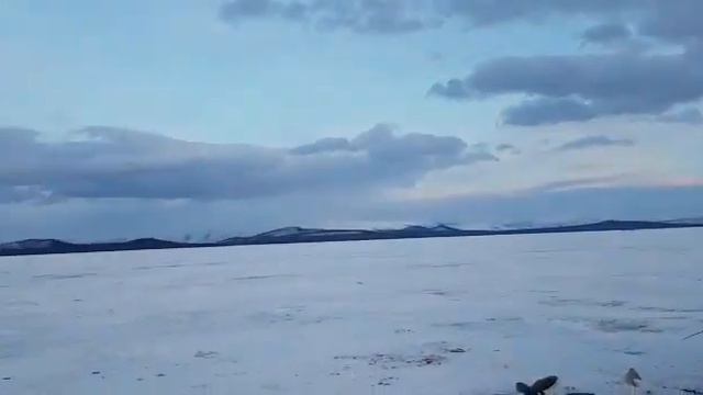 14 декабря 2022 г. смотреть онлайн