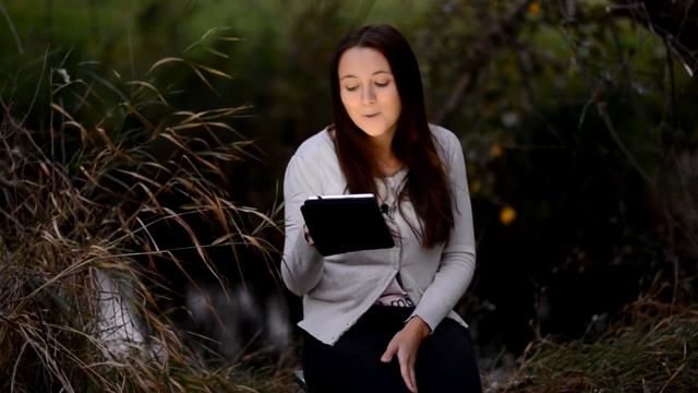 Заболоцкий Н. "Лицо коня" смотреть онлайн