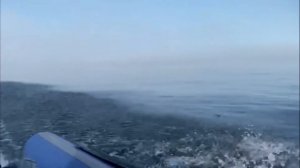 Дикий Байкал 2021 :: небольшой водный поход на моторной лодке, тайга, рыбалка