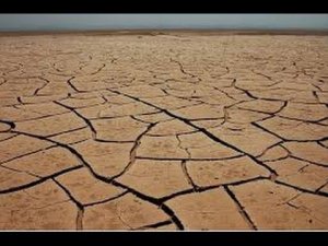 Охота в пустыне.