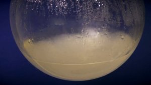 Ацетат натрия.Получение из уксусной кислоты и опыты.Эксперимент "Горячий лед", Реакция Дюма.Кристал