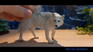 Распаковка полярного волка от Safari Ltd