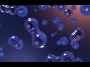 58.1 УСТАНОВЛЕНИЕ ЖИЗНИ НА УРАНТИИ. ПРЕДПОСЫЛКИ ФИЗИЧЕСКОЙ ЖИЗНИ