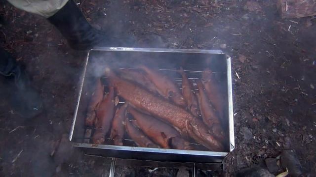 Походы в Карелии.  Готовим рыбу. Рецепты дикой кухни - Рыбалка и Bushcraft cooking с Proto