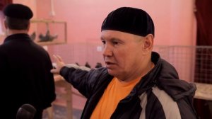 ВЫСТАВКА ВЫСОКОЛЕТНЫХ ГОЛУБЕЙ В АЛЕКСАНДРОВЕ
