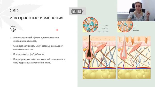 Ендоканабіноїдна система організму і можливості впливу на неї за допомогою канабідіолу смотреть онлайн