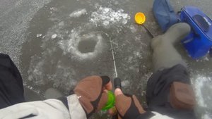 В ЭТИХ ЛОЖБИНКАХ ЗИМУЮТ ЗДОРОВЫЕ КАРПЫ И МОРДАТЫЕ КАРАСИ.Ловля карася в январе 2023