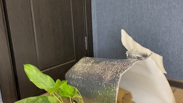 Распаковка посылки с новыми растениями смотреть онлайн