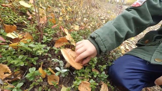 Первый раз на рыбалке. Рыба не клюет. смотреть онлайн