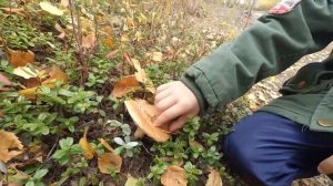 Первый раз на рыбалке. Рыба не клюет.