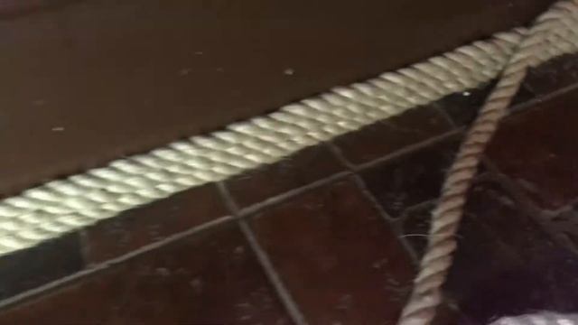 Декорирование лестницы своими руками.