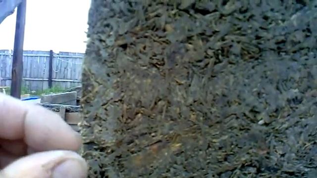 арболит смотреть онлайн