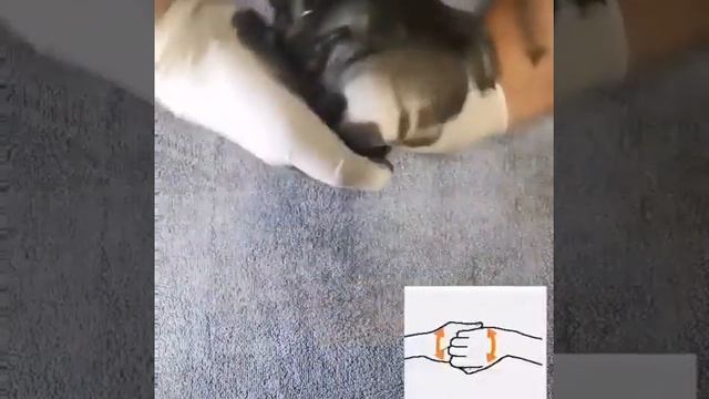 Как нужно мыть руки. смотреть онлайн